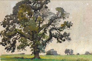 Una quercia sul bordo di un campo da Walter Bonner Gash